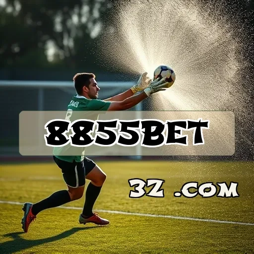 8855bet.com: Entenda os Termos de Uso para Jogar com Segurança e Diversão